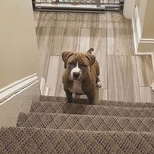 The PoshQueen #Nolee